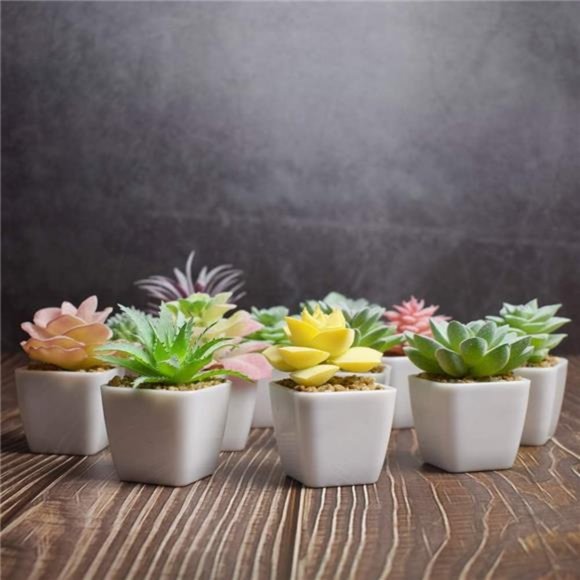 Artificial Faux Succulents in Pots Fake Plants Ceramic Arrangement Planter Mini - Picture 3 of 6